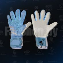 Вратарские перчатки Adidas Predators голубые