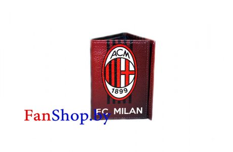 Универсальная обложка для паспорта и водительского удостоверения ФК Милан